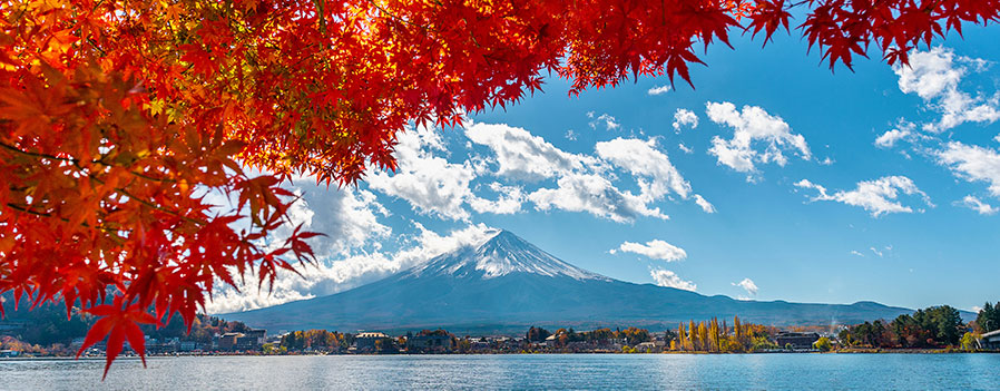 O Equinócio de Outono - Shūbun no Hi (秋分の日)